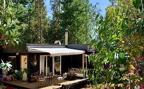 Cabaña en el Bosque